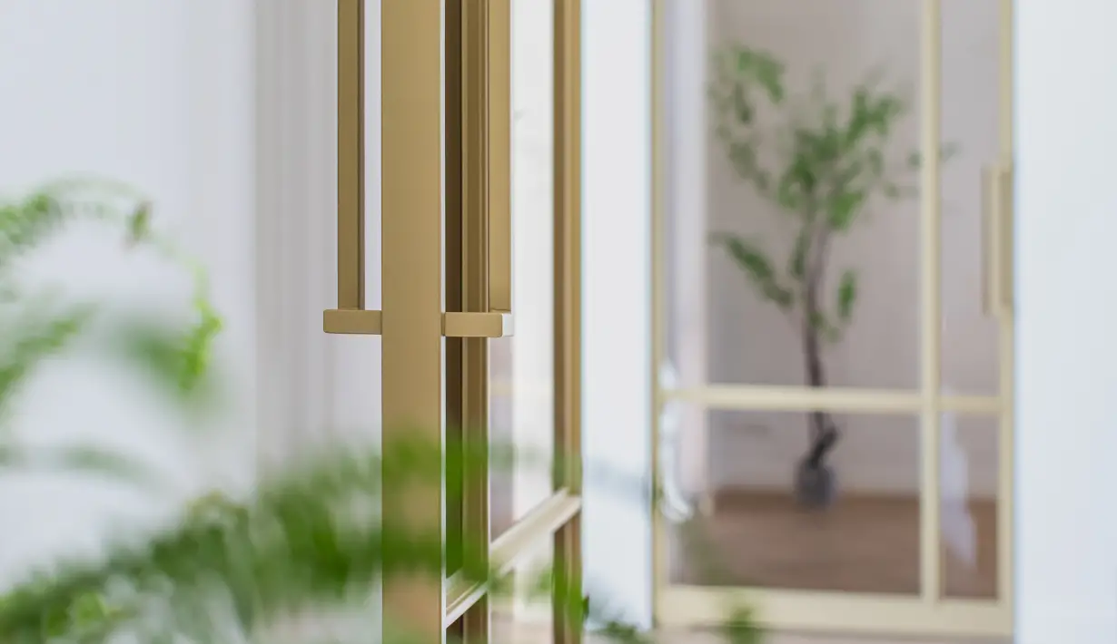 Gouden stalen deur Scandinavisch